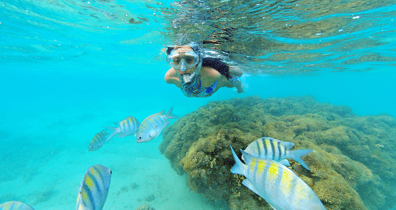 Snorkel nas piscinas naturais de Pajuçara - Maceió