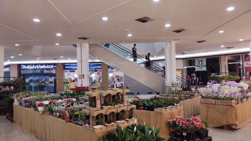 Área interna do Maceió Shopping